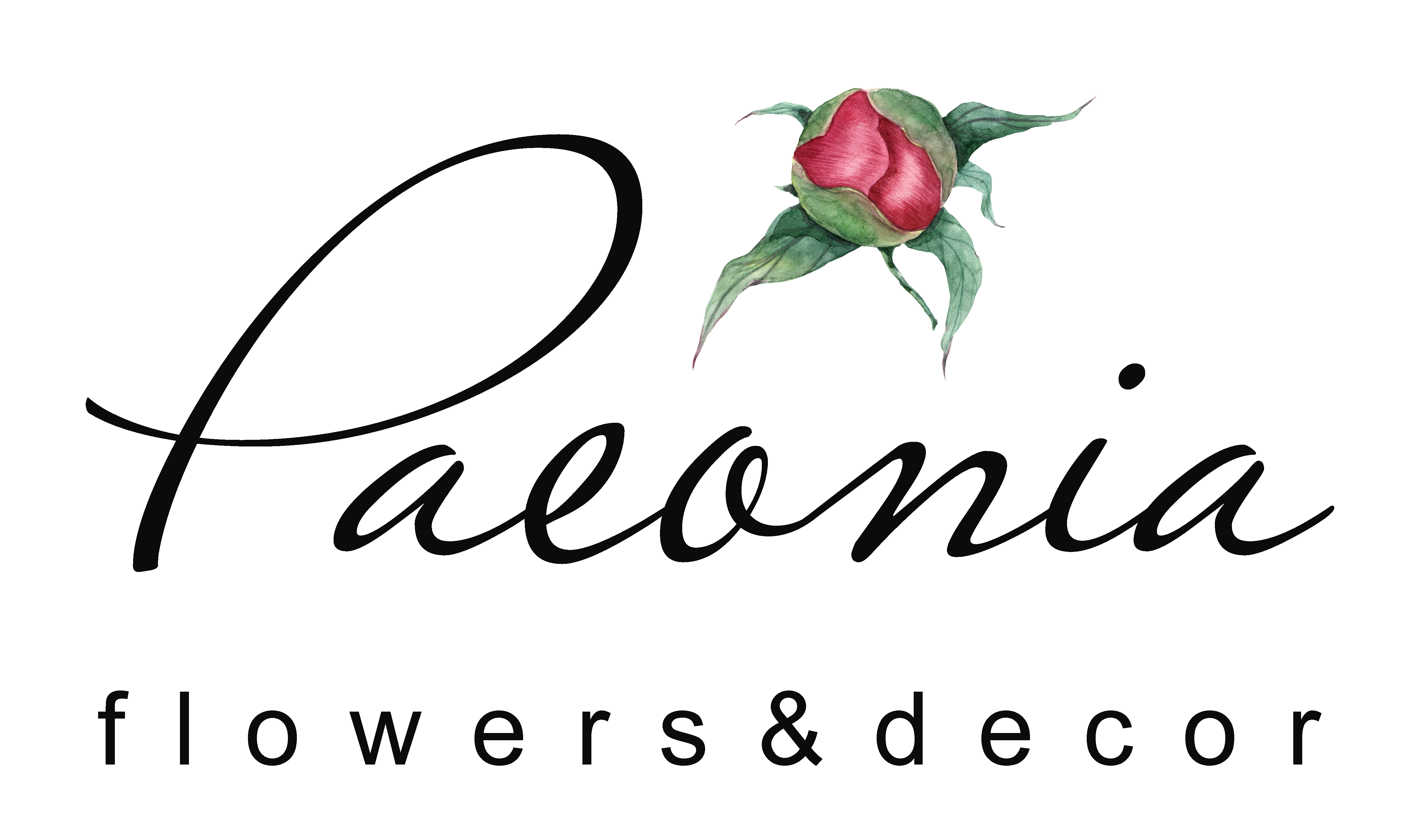 Paeonia - flowers & decor