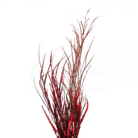 Гревілея фарбована Red 80см 200г (ціна за 1 пучок) Гревілея фарбована Red 80см 200г (ціна за 1 пучок)