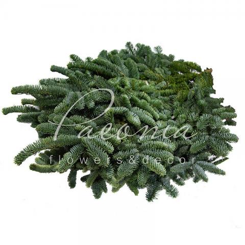 Ель Nobilis ветки (5кг) Ель Nobilis ветки (5кг)