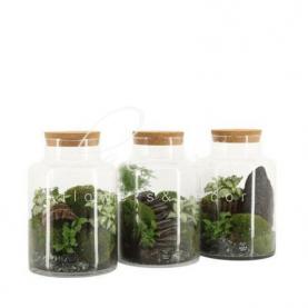 Флорариум 17*25 с мхом в восточном стиле Флорариум 17*25 с мхом в восточном стиле