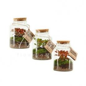 Флорариум 16*30 Neptunus Флорариум 16*30 Neptunus