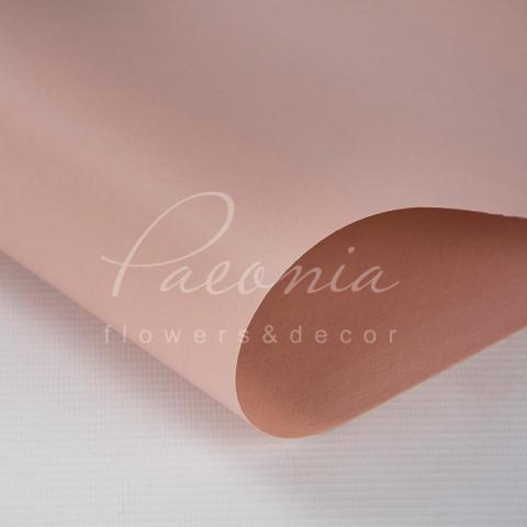 Калька флористическая листовая 58см*60см матовая плотная с прозрачной пленкой и кантом пудровая Калька флористическая листовая 58см*60см матовая плотная с прозрачной пленкой и кантом пудровая