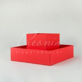 Коробка из картона и пластика квадратная красная 20см*20см*28см 