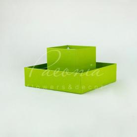 Коробка из картона и пластика квадратная травяная 20см*20см*28см 