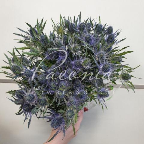 Ерінгіум Magical Blue Lagoon 40см