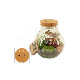 Флорариум 19*30 Venus Флорариум 19*30 Venus