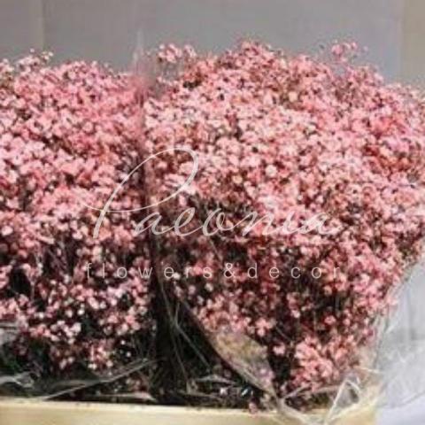 Гіпсофіла фарбована нiжно-рожева 80см