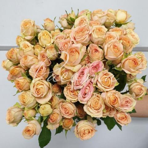 Троянда спрей Azore 50см Троянда спрей Azore 50см