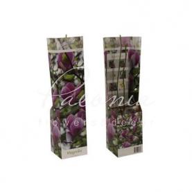 Магнолія 09*30 яскраво-рожева Susan