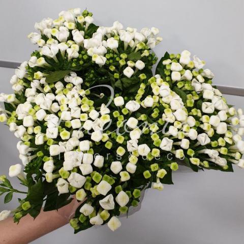 Бувардія Diamond Sparkles біла 50см
