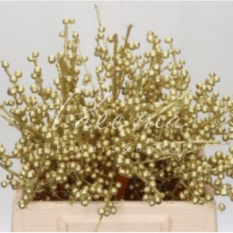 Ілекс фарбований Gold 40см