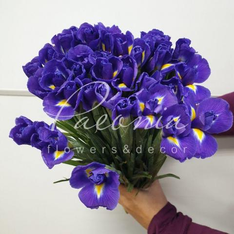 Ірис Blue Magic синій 54см