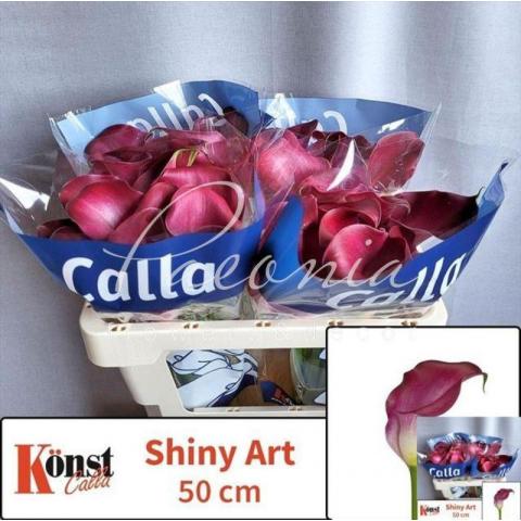 Калла Shiny Art 50см