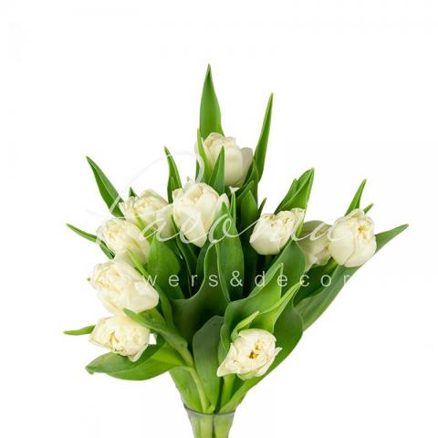 Тюльпан Double Northcap білий 35см Тюльпан Double Northcap білий 35см