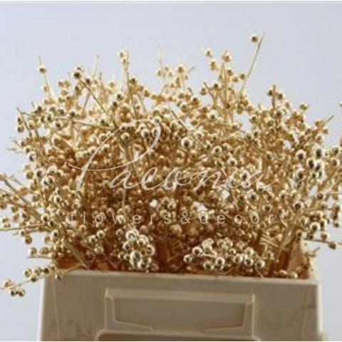 Ілекс фарбований Antique Gold 40см