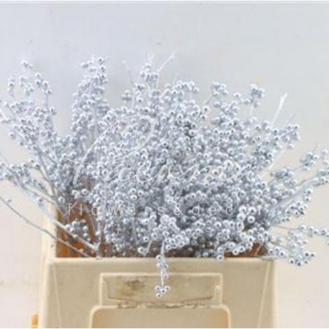 Ілекс фарбований Silver 40см