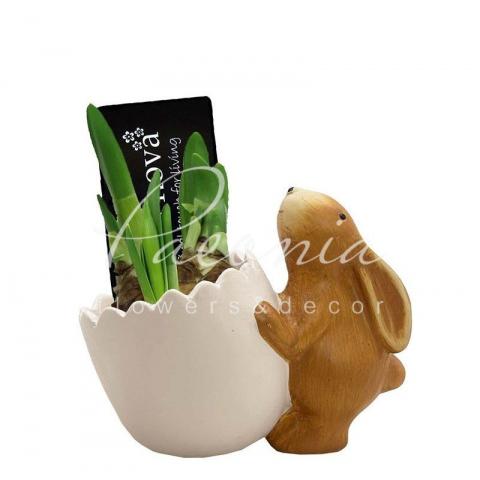 Нарцисс 13*13 желтый в керамическом кашпо с кроликом Busy Bunny