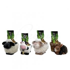 Нарцисс 12*15 желтый в керамическом кашпо с животными Farmyard Friends