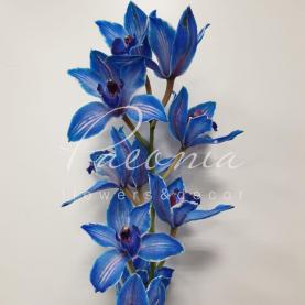 Орхидея цимбидиум крашеная синяя 80см (цена за ветку)