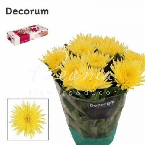 Хризантема одноголовая Anastasia желтая 70см Хризантема одноголовая Anastasia желтая 70см