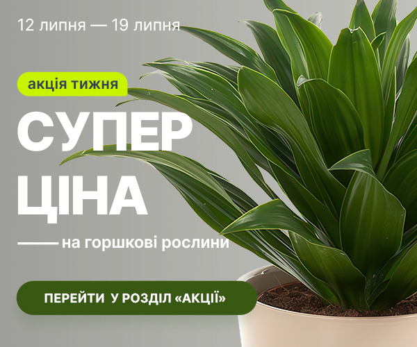 rust_12.07-19.07_ua
