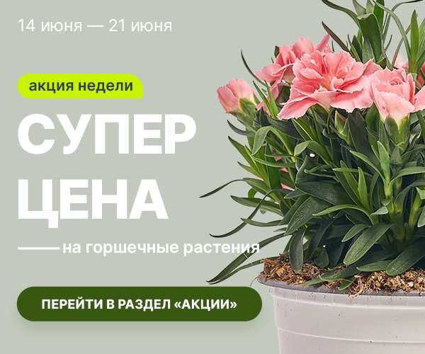 rust_14.06-21.06_ru