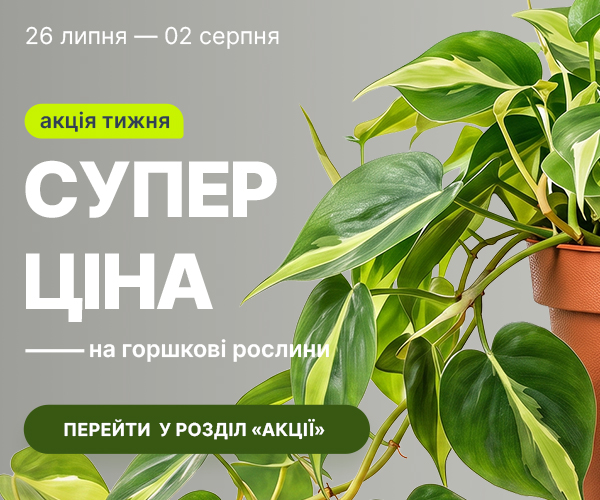 rust_26.07-02.08_ua
