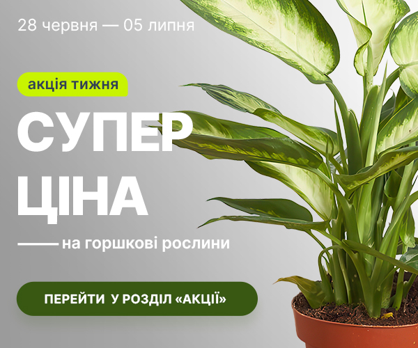 rust_28.06-05.07_ua