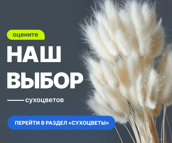 suh_slide2_ru